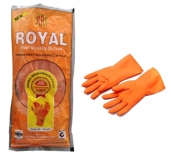 Royal Post Mortam Gloves_ back