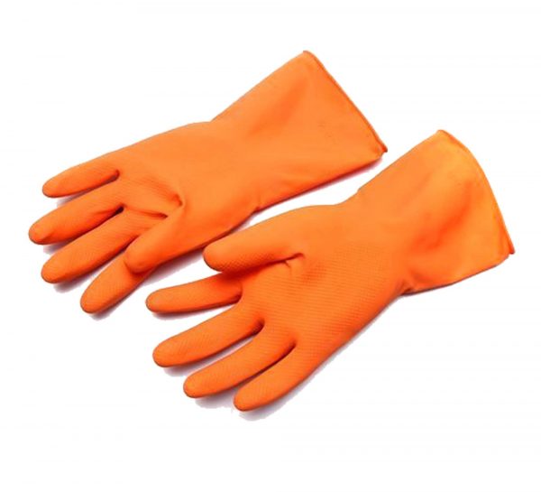 Royal Post Mortam Gloves_cover