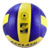 Cosco Acclaim Volleyball 3