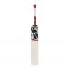 SF Blade DC Patriot English Willow Bat_2