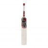 SF Blade DC Slogger English Willow Bat_2