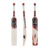 SF Blade DC Slogger English Willow Bat_cover
