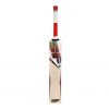 SF Glitz L.E. English Willow Cricket Bat_1