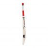 SF Glitz Player Edition English Willow Cricket Bat_3