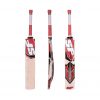 SF Pro Blaster 4000 English Willow Bat_cover