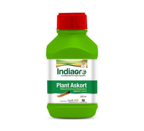 IndiaGro Plant Askort_cover