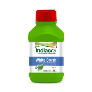 IndiaGro White Crush_cover