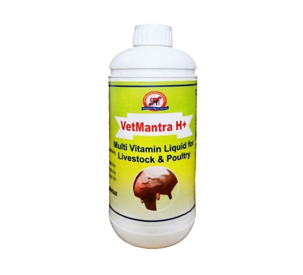 VetMantra H+ Multi Vitamin Liquid_1L