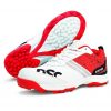 DSC Zooter Cricket Shoes-Red_cover