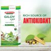 Baidyanath Giloy Juice_cover4