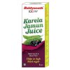 Baidyanath Karela Jamun Juice_cover