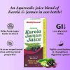 Baidyanath Karela Jamun Juice_cover3