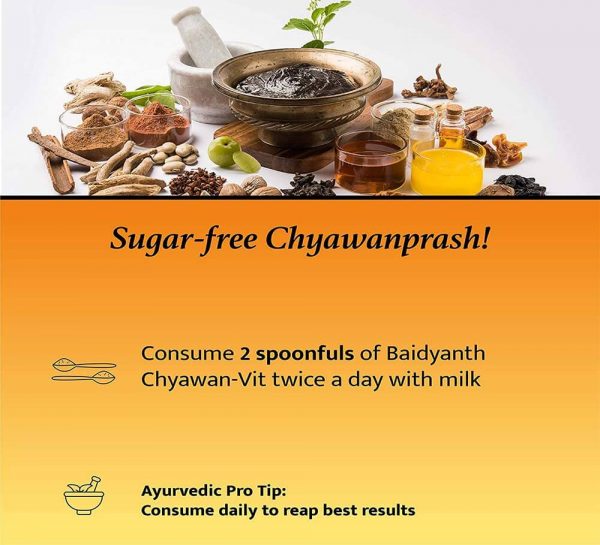 Baidyanath Sugarfree Chyawan-Vit_cover4