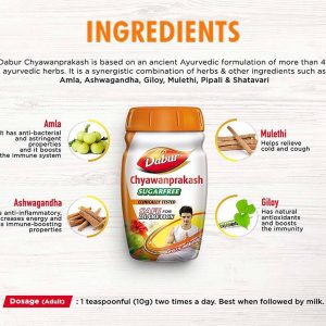 Dabur Chyawanprakash Sugarfree - Big Value Shop