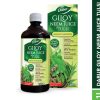 Dabur Giloy Neem Tulsi Juice_cover2