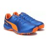 Puma 19 FH Rubber Cricket Shoes_cover