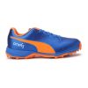 Puma 19 FH Rubber Cricket Shoes_cover1