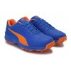 Puma 19.2 FH Spike Cricket Shoes_cover