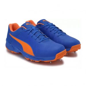 Puma 19.2 FH Spike Cricket Shoes_cover