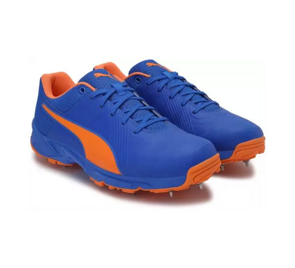 Puma 19.2 FH Spike Cricket Shoes_cover