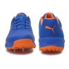 Puma 19.2 FH Spike Cricket Shoes_cover2