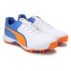 Puma 20 FH Rubber Cricket Shoes_cover1