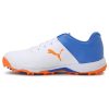 Puma 20 FH Rubber Cricket Shoes_cover2