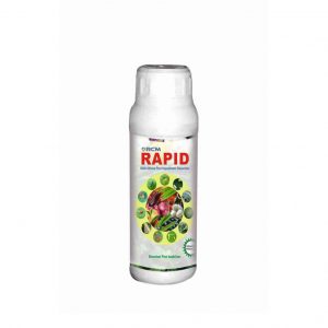 RCM Rapid_cover