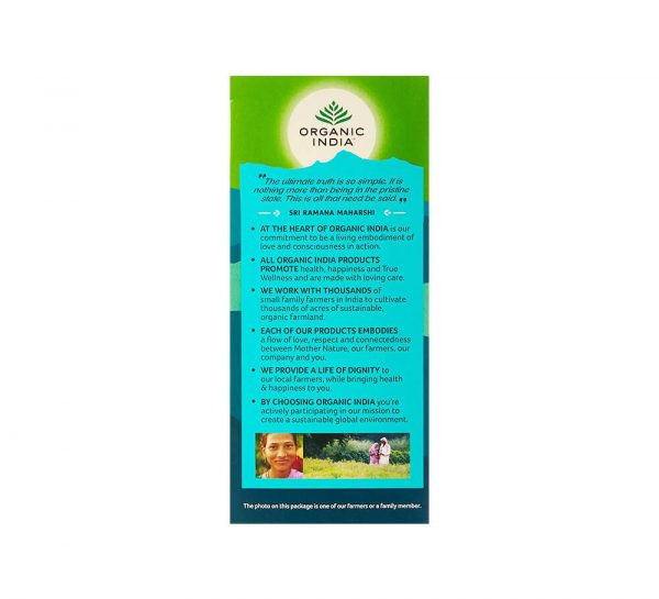 Organic India Tulsi Cleanse_cover2