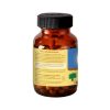 Organic India Turmeric Formula_cover1