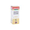 Baidyanath Swarna Bhasma_125mg_cover