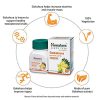 Himalaya Pure Herbs Gokshura_cover2