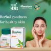 Himalaya Pure Herbs Neem_cover4