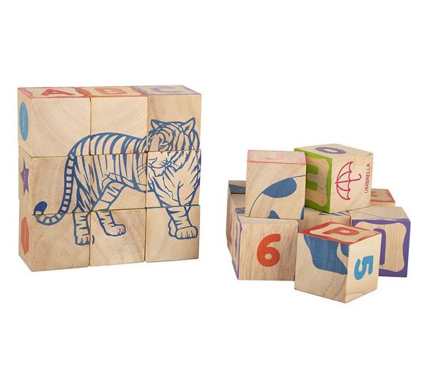 Funskool Info Cubes_cover5
