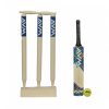 AVM Wooden Cricket Kit_cover